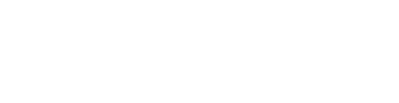 Lee Debra Team Menu White Logo
